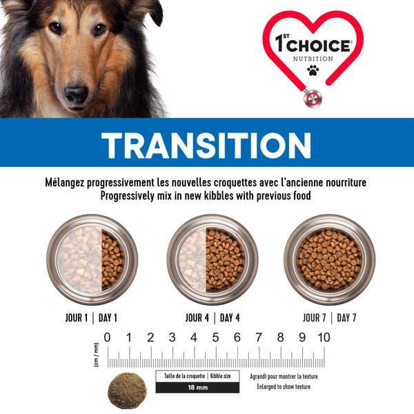Nourriture pour chien, sénior, moyenne et grande races - poulet 12kg - Animatout