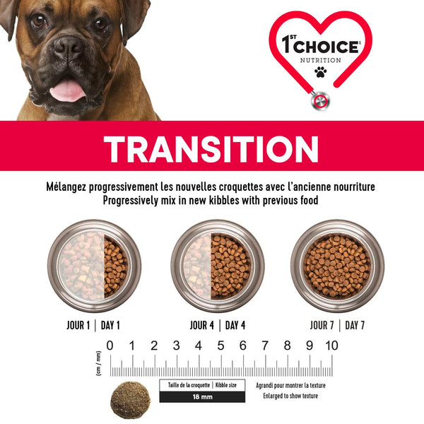 Nourriture pour chien adulte, moyenne et grande races, peau et pelage - agneau