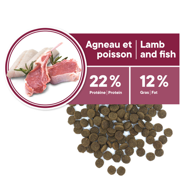 Nourriture pour chien, sénior, toutes races, peau et pelage - agneau