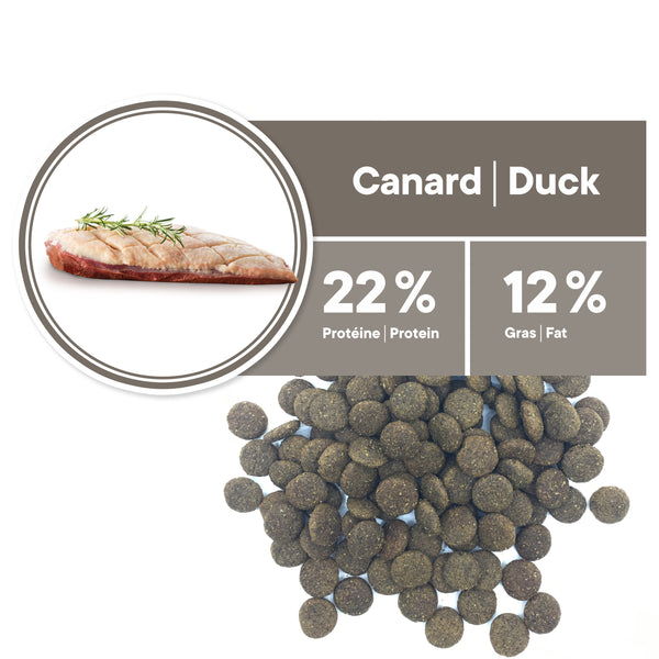 Nourriture pour chien adulte, toutes races, hypoallergène - canard sans grains