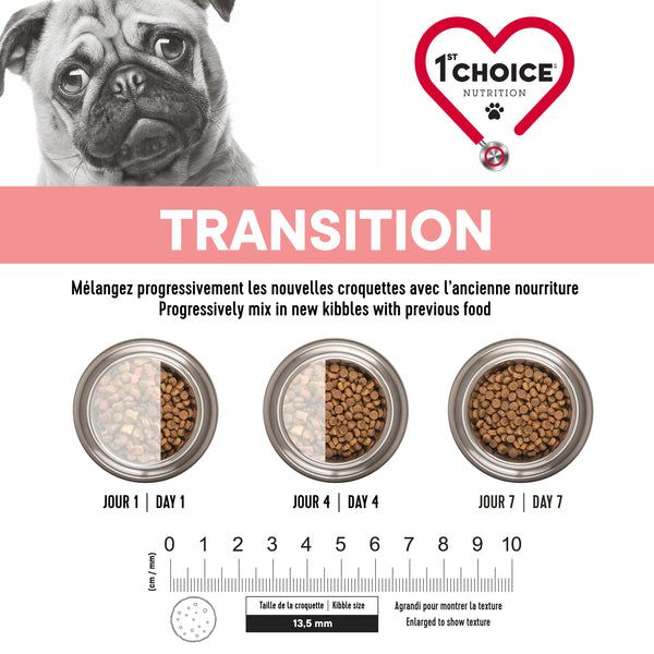 Nourriture pour chien adulte, toutes races, derma - saumon