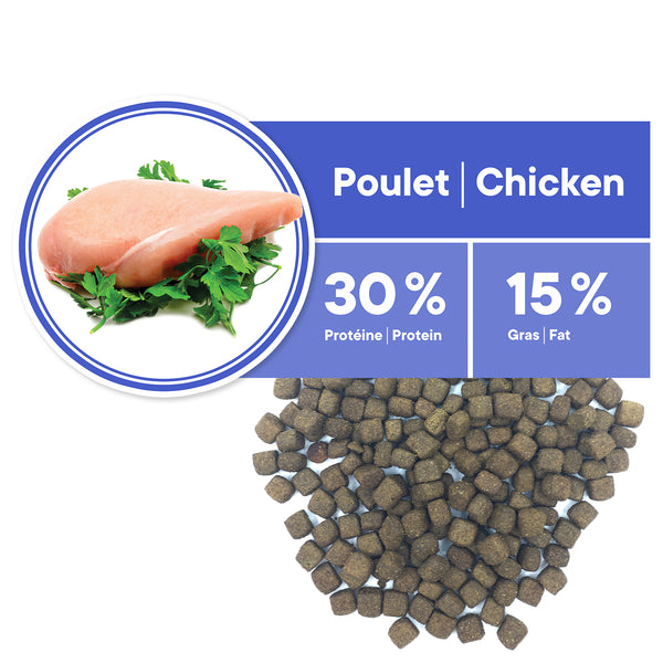 Nourriture pour chat adulte, santé dentaire - poulet