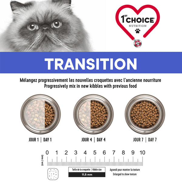 Nourriture pour chat adulte, santé dentaire - poulet
