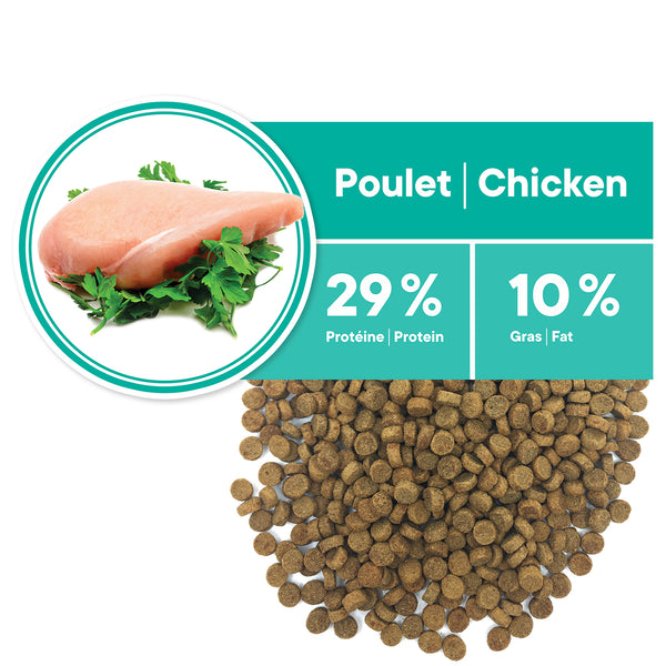 Nourriture pour chat adulte, contrôle du poids - poulet