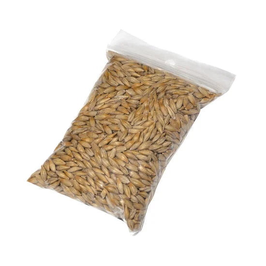 Graines d'herbe à chat à faire pousser 100 g