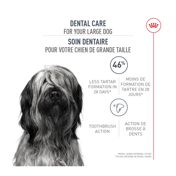 GRAND SOIN DENTAIRE – nourriture sèche pour chiens, 13.6 kg, (30 lb)