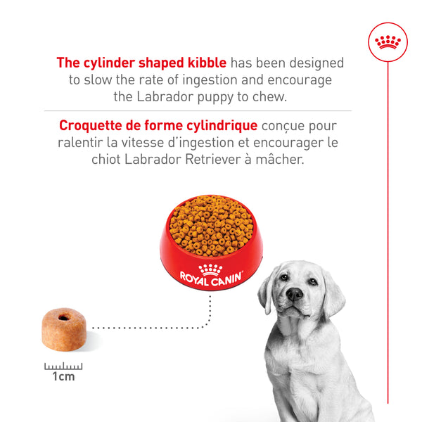 CHIOT LABRADOR RETRIEVER – nourriture sèche pour chiots, 13.6 kg, (30 lb)