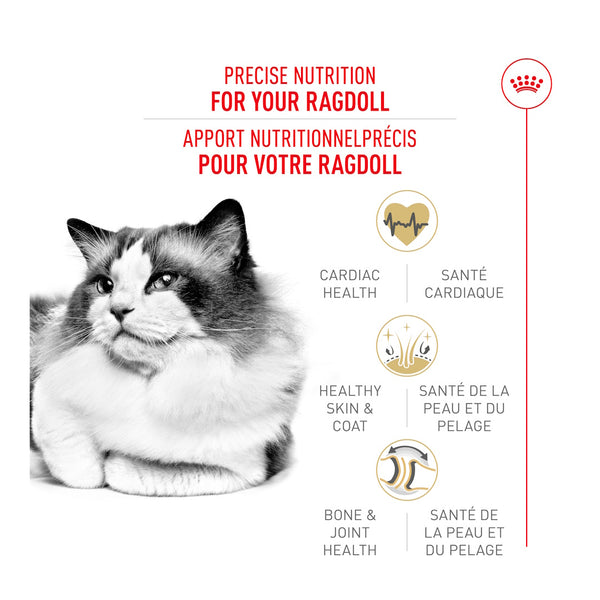RAGDOLL ADULTE – nourriture sèche pour chats, 3.2 kg, (7 lb)