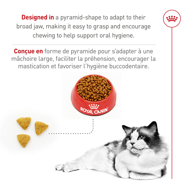 RAGDOLL ADULTE – nourriture sèche pour chats, 3.2 kg, (7 lb)