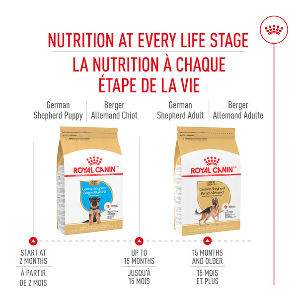 BERGER ALLEMAND ADULTE – nourriture sèche pour chiens