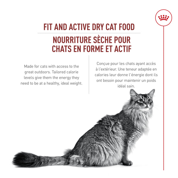 FIT ET ACTIF – nourriture sèche pour chats