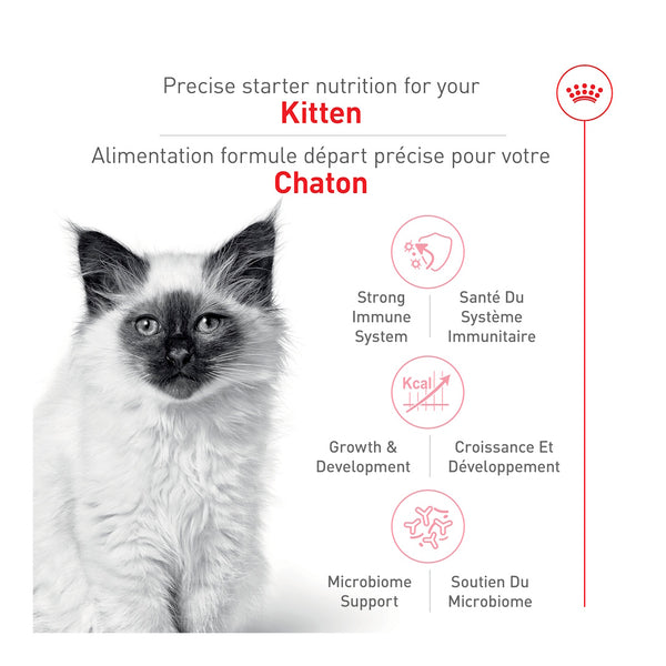 CHATON – nourriture sèche pour chatons