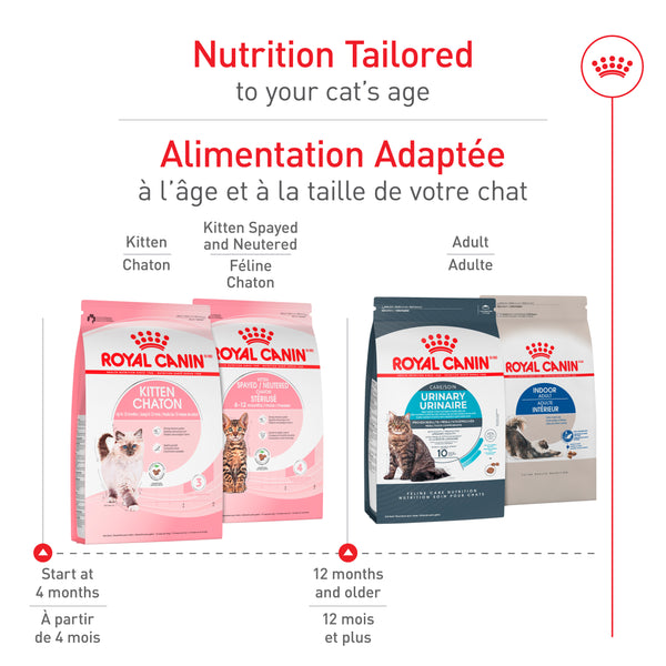 CHATON – nourriture sèche pour chatons