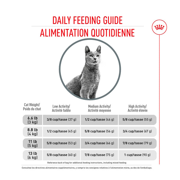 SOIN DENTAIRE – nourriture sèche pour chats