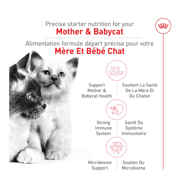 MÈRE ET BÉBÉ CHAT – nourriture sèche pour chatons