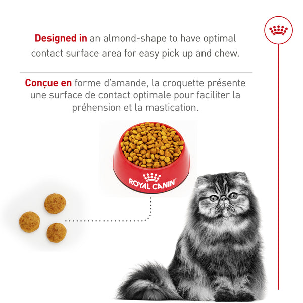 PERSAN ADULTE – nourriture sèche pour chats