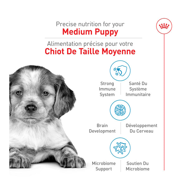 MOYEN CHIOT – nourriture sèche pour chiots