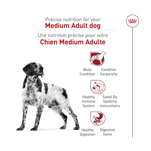 MOYEN ADULTE – nourriture sèche pour chiens