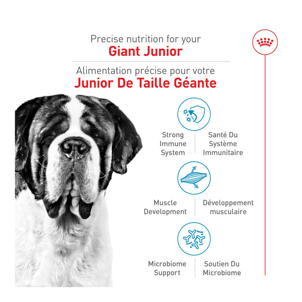 GÉANT JUNIOR – nourriture sèche pour chiots, 13.61 kg, (30 lb)