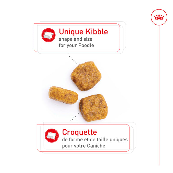 CANICHE ADULTE – nourriture sèche pour chiens