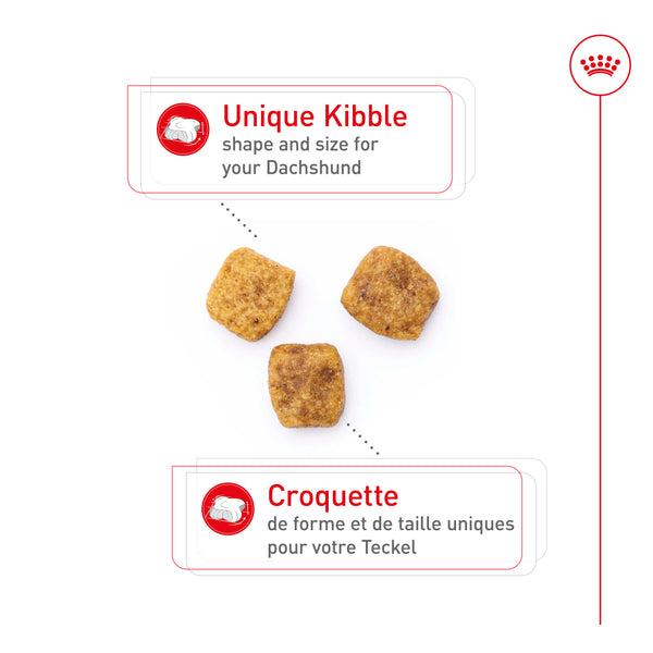 TECKEL ADULTE – nourriture sèche pour chiens