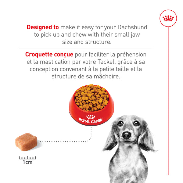TECKEL ADULTE – nourriture sèche pour chiens