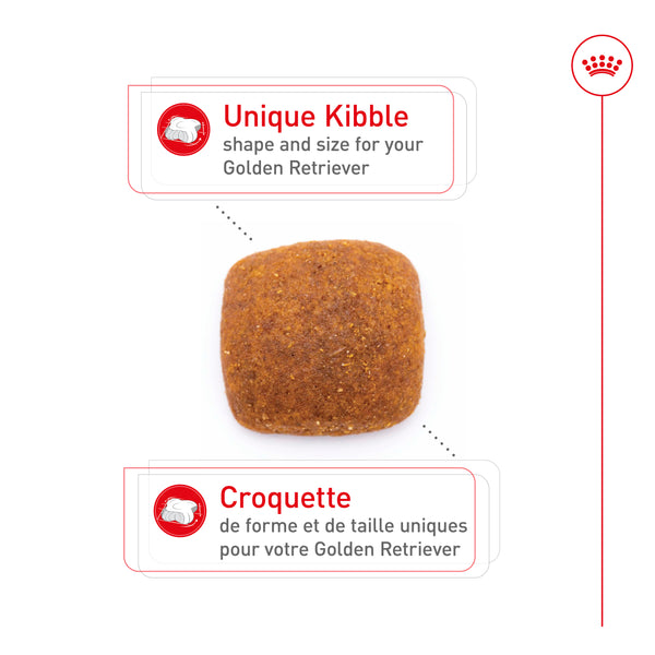 GOLDEN RETRIEVER ADULTE – nourriture sèche pour chiens