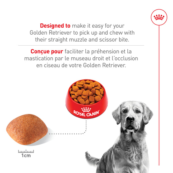 GOLDEN RETRIEVER ADULTE – nourriture sèche pour chiens