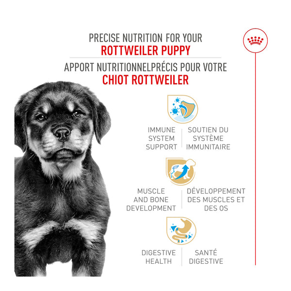 CHIOT ROTTWEILER – nourriture sèche pour chiens, 13.6 kg, (30 lb)