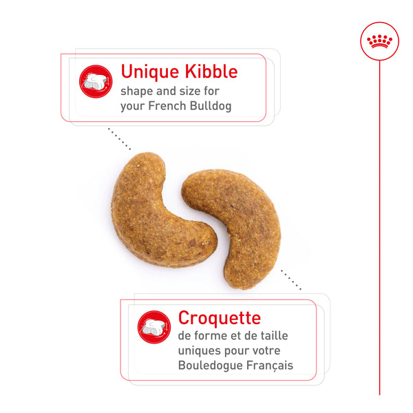 BOULEDOGUE FRANÇAIS ADULTE – nourriture sèche pour chiens