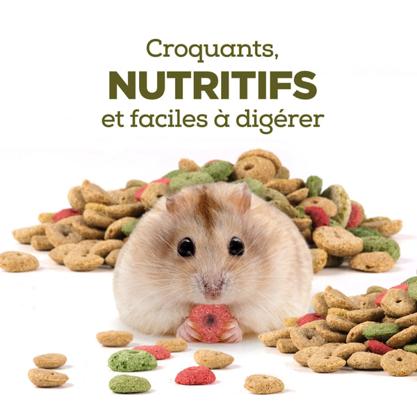 Gâteries pour petits animaux, beignets, 120 g (4,2 oz)