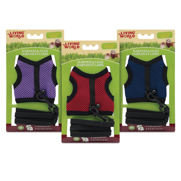 Ensemble laisse et harnais pour petits animaux, couleur assorti
