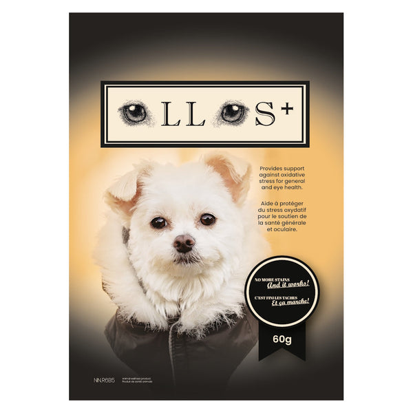 Ollos, solution naturelle pour les yeux tachés des chiens