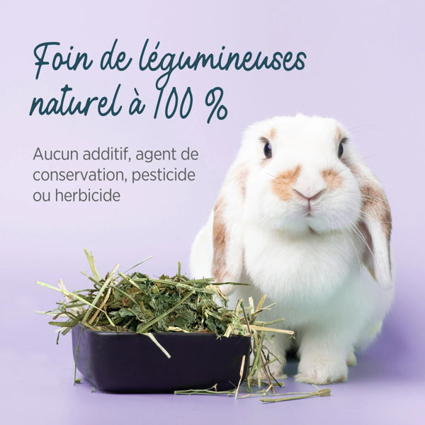 Foin pour petits animaux Fléole des prés, 560 g (20 oz)