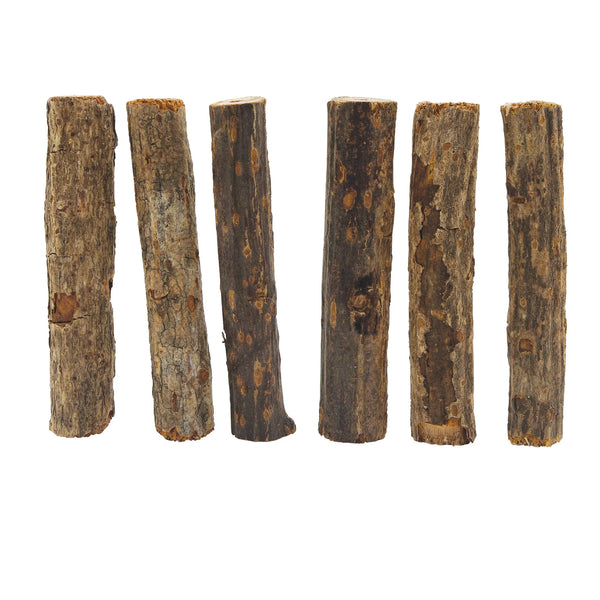 Jouets à gruger Nibblers en bois, bâtonnets en branches d’arbre à kiwis, paquet de 6