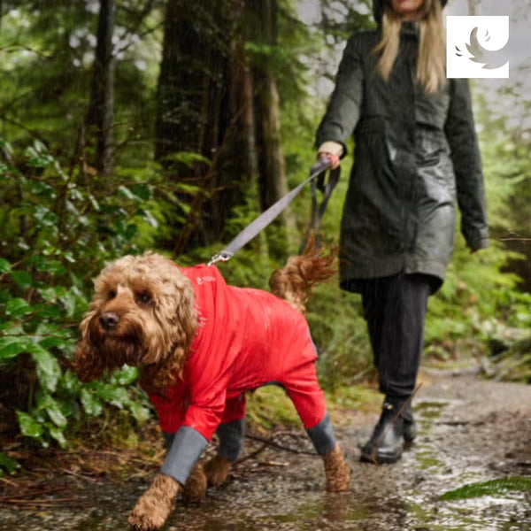 Combinaison de pluie pour chien Repel - Baie goji/Anthracite