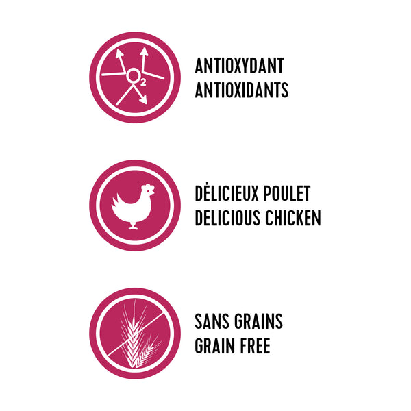 Nourriture en conserves pour chat, stérilisé - pâté de poulet sans grains 156 g - Animatout