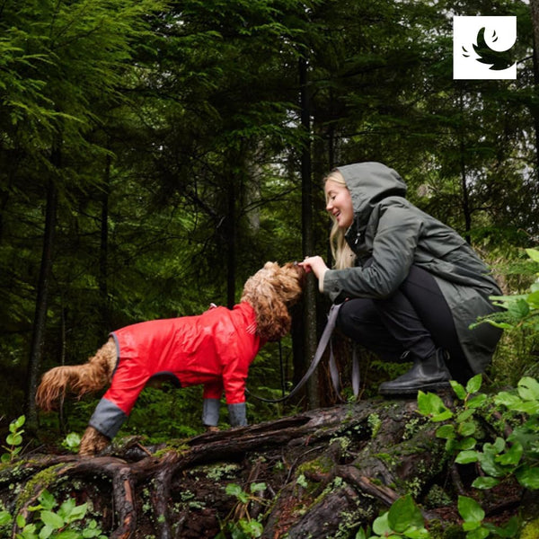 Combinaison de pluie pour chien Repel - Baie goji/Anthracite