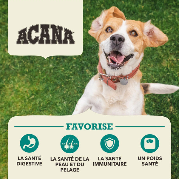 Nourriture sèche pour chien recette aux poissons d'eaux froides 11.4 kg
