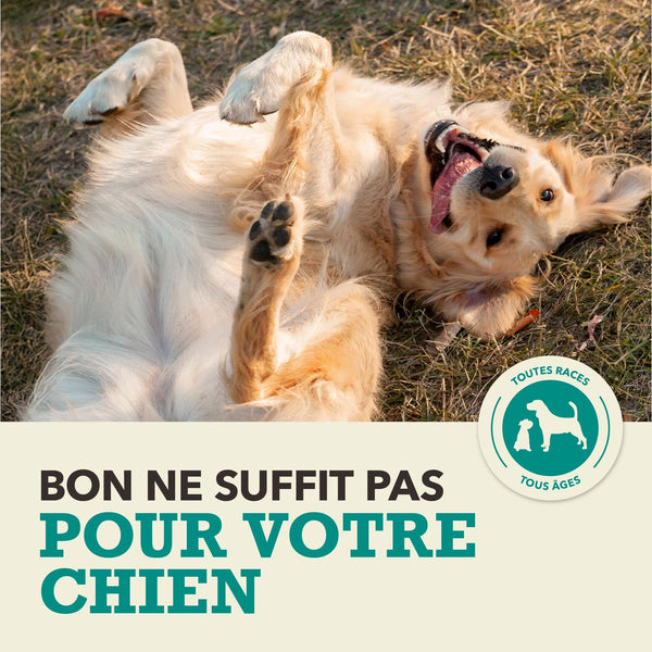 Nourriture sèche pour chien recette aux poissons d'eaux froides 11.4 kg