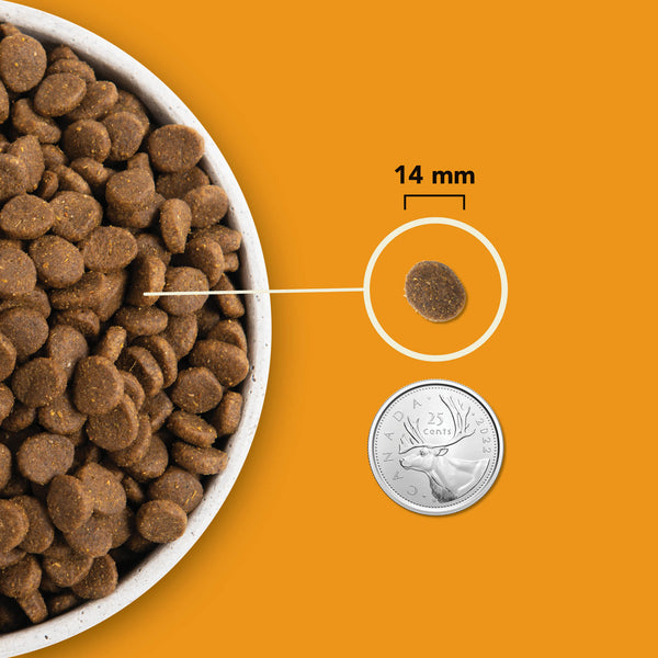 Nourriture pour chien Wild Prairie Protéines+