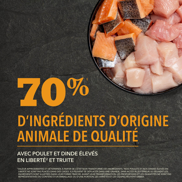 Nourriture pour chien Wild Prairie Protéines+