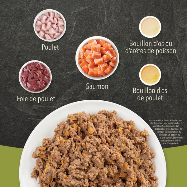 Nourriture pour chat saumon avec bouillon d'os - Animatout