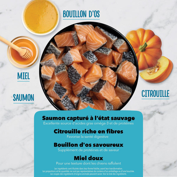Gâteries pour chien Bouchées croquantes au saumon 113 g