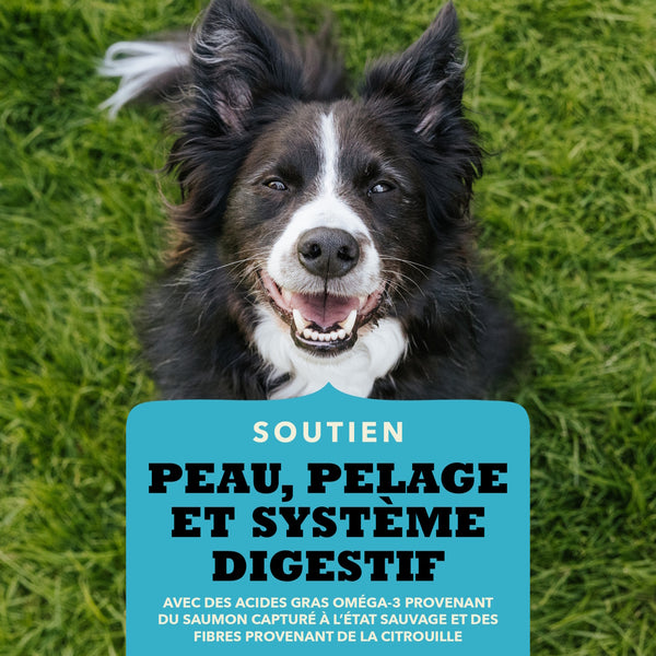Gâteries pour chien Bouchées croquantes au saumon 113 g