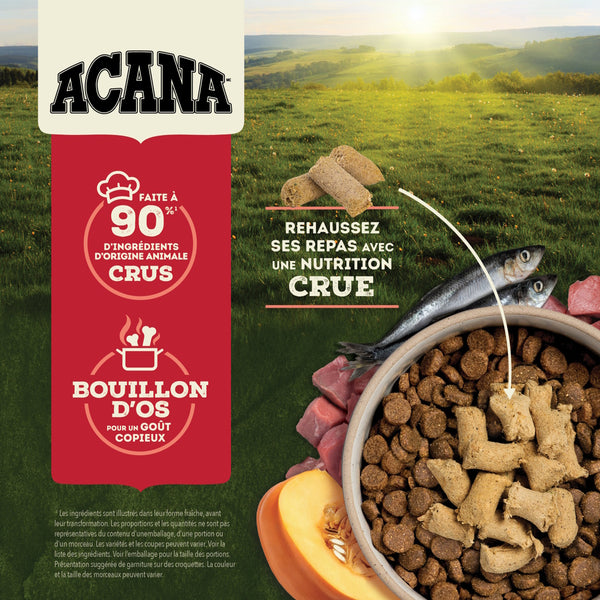 Nourriture pour chien lyophilisées au bœuf - Morceaux 227 g