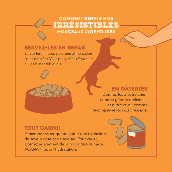 Nourriture pour chien lyophilisées à la dinde - Morceaux 227 g