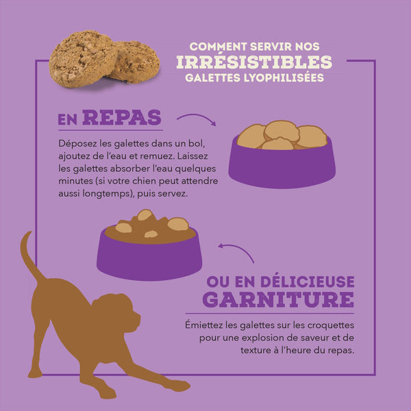 Nourriture pour chien lyophilisées au canard - Galettes 397 g