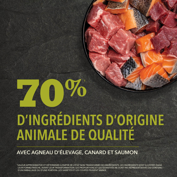 Nourriture pour chien Grasslands Protéines+