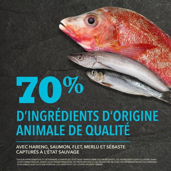 Nourriture pour chien Pacifica Protéines+